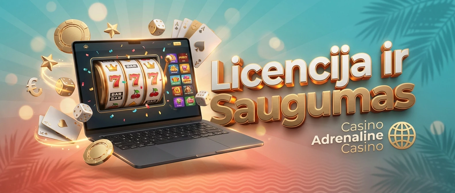 Licencija ir Saugumas